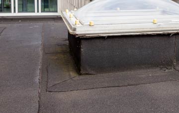 disadvantages of Detchant flat roofs