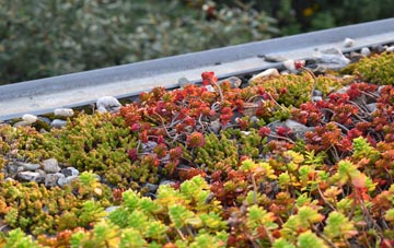 the cost of Detchant green roof installation