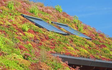 Detchant living roof systems