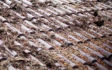 Detchant roof cleaning companies