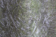 Detchant fibreglass roof work