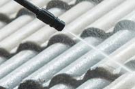 rated Detchant roof cleaning companies