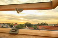 rated Detchant roof window companies